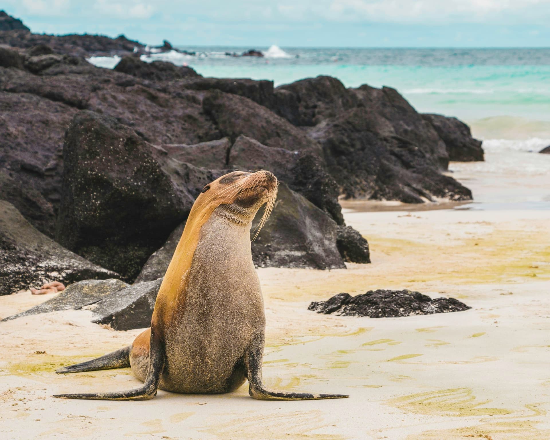 Galapagos Islands landscape